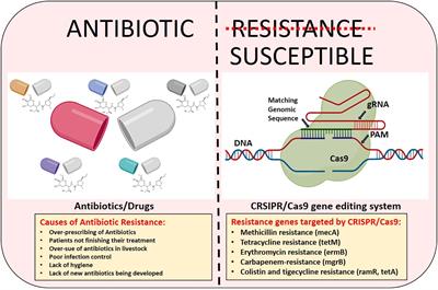 Recent advances in gene-editing approaches for tackling antibiotic resistance threats: a review
